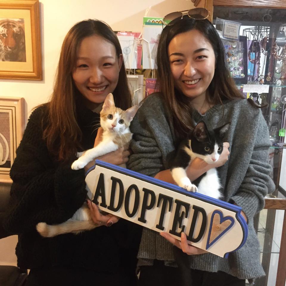 Two young women each holding a cat and an adopted sign